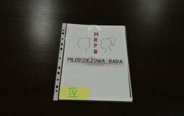 KONKURS NA LOGO MŁODZIEŻOWEJ RADY POWIATU BRANIEWSKIEGO 18