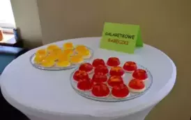 DZIEŃ OTWARTY W SZKOŁACH POWIATU BRANIEWSKIEGO 12