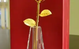 ROZSTRZYGNIĘCIE KONKURSU  &bdquo;NAJAKTYWNIEJSZY SENIOR POWIATU BRANIEWSKIEGO&rdquo; 20