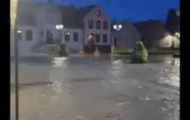 ZABRAKŁO WRAŻLIWOŚCI A MOŻE CZEGOŚ WIĘCEJ 1