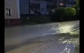 ZABRAKŁO WRAŻLIWOŚCI A MOŻE CZEGOŚ WIĘCEJ 2