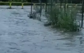 ZABRAKŁO WRAŻLIWOŚCI A MOŻE CZEGOŚ WIĘCEJ 3