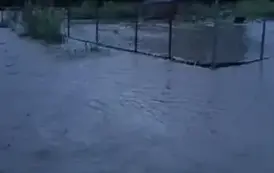 ZABRAKŁO WRAŻLIWOŚCI A MOŻE CZEGOŚ WIĘCEJ 4