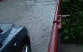 ZABRAKŁO WRAŻLIWOŚCI A MOŻE CZEGOŚ WIĘCEJ 5