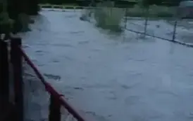 ZABRAKŁO WRAŻLIWOŚCI A MOŻE CZEGOŚ WIĘCEJ 6