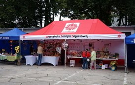 Powiatowy Dzień na Rzecz Os&oacute;b Niepełnosprawnych 17