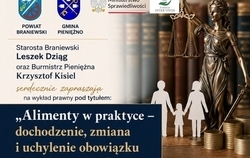 Zdjęcie do &bdquo;Alimenty w praktyce &ndash; dochodzenie, zmiana...